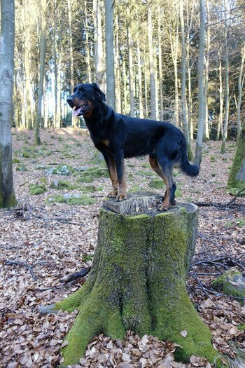 DSC00049 Kopie.jpg
