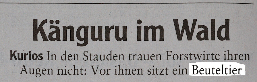 Beuteltier-Augsburg.jpg