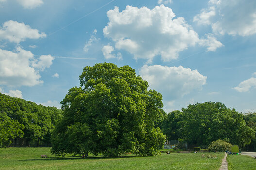 DSC_5183.jpg