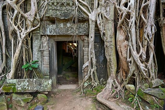 Angkor.jpg