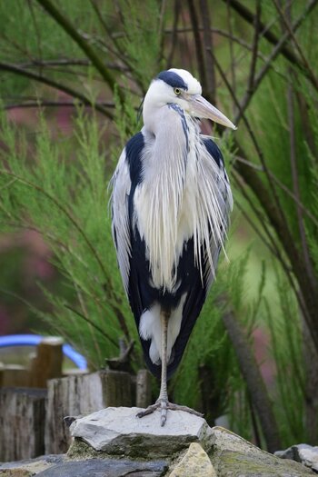 _DSC5773_00001.JPG