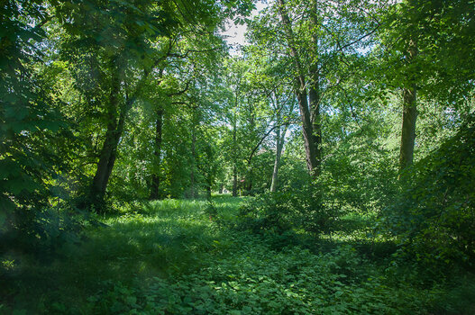 DSC_5264.jpg
