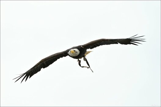 comp_DSC_17200 - Zingst.jpg