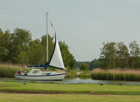 DSC_5633.jpg