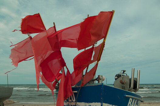 DSC_5563.jpg