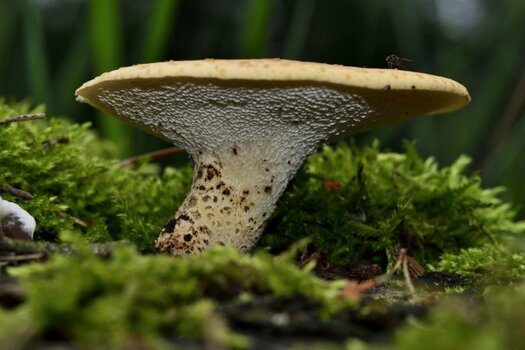 _DSC0011_2650240_2650240.jpg