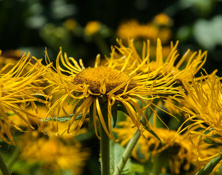 DSC_6003.jpg