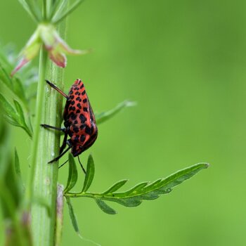 _DSC0006_2650240.jpg
