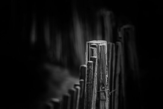 20190626_064525_sw.jpg
