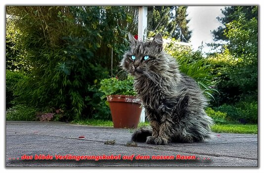 20190623_173034-w2.jpg