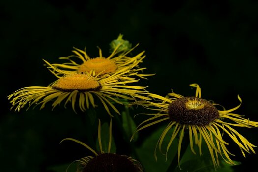 _DSC0220_2650240_2650249_01.jpg