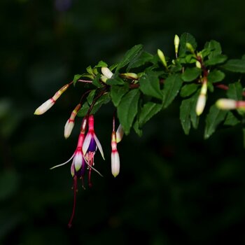_DSC0226_2650240_2650240.jpg