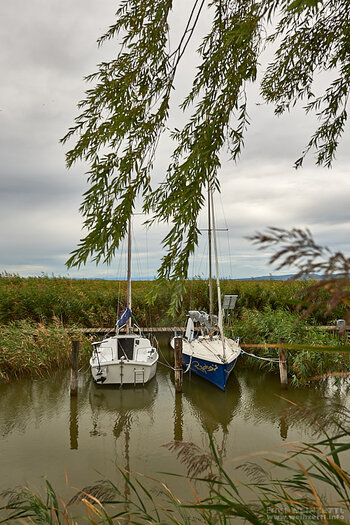 20130909-1348-_EW12708-00.jpg 20130909-1348-_EW12708-00.jpg