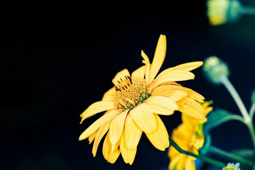 DAC85EEB-5EBB-483F-BA1B-68950CB26B82.jpeg