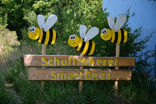 SmartBees.jpg