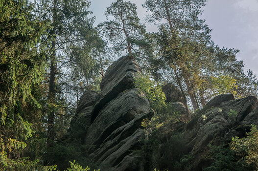 DSC_6751-Bearbeitet.jpg