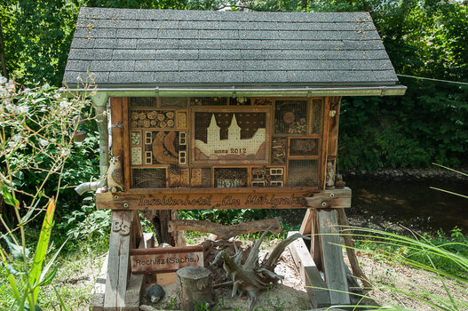 DSC_6921-Bearbeitet.jpg