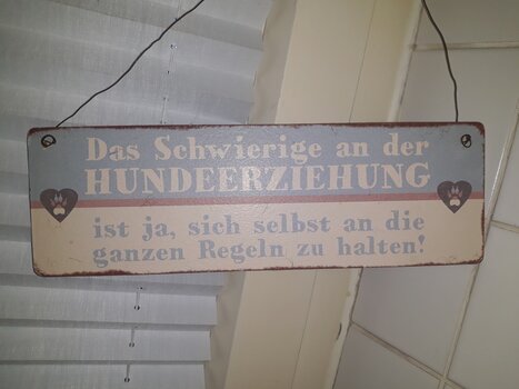 hundeerziehung.jpg