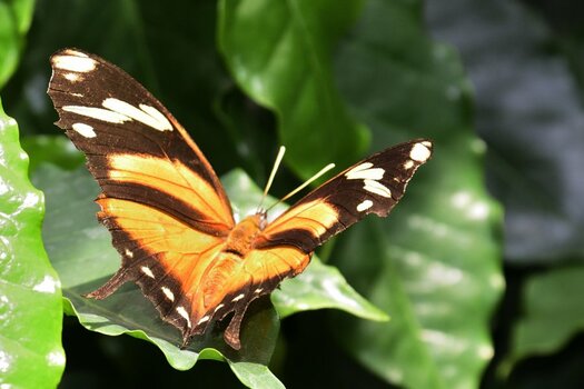 _DSC0231_2650282_2650240.jpg