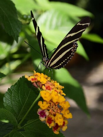 _DSC0242_2650290_2650240.jpg