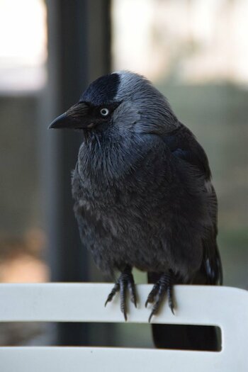 DSC_7161.jpg