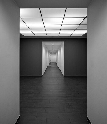 Oberlicht-Z7-21Biogon-bonnescape.jpg