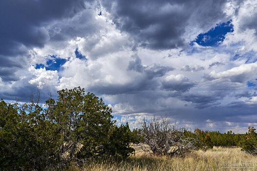 20140926-1427-DSC2061 1.jpg