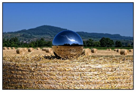 DSC_0172_2_DxO.jpg