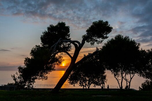 2013-11-01c_Rovinj-039_7ST_2999.jpg