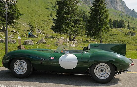 DSC_3951a.jpg