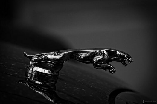 DSC_0315 chrome 900.jpg
