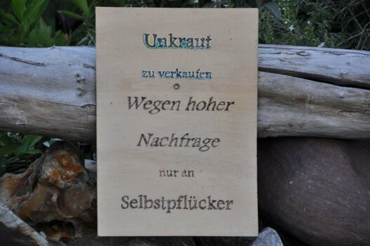 20190830_03_Unkraut.jpg