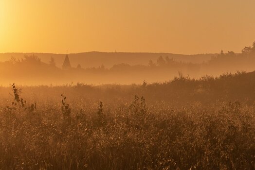 Mehlinger_Heide_008.jpg