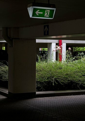 Parkhaus-Z7-100elm-bonnescape.jpg