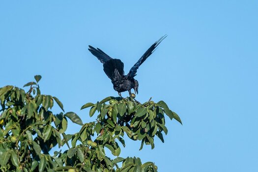 20190911_D500_0503NF.jpg