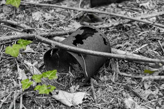 Hexen-wald-12-web.jpg