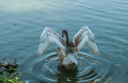 DSC_7807.jpg