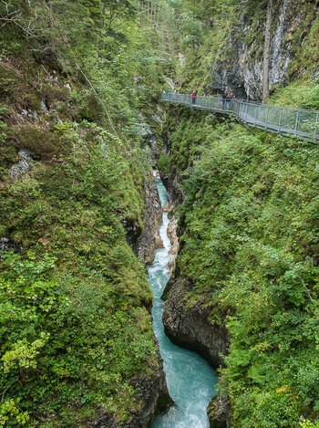 DSC_7717.jpg