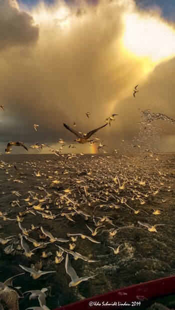 Strandmotive 20.jpg