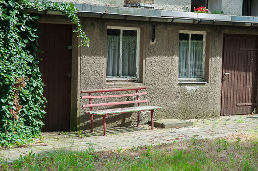 DSC_6553.jpg