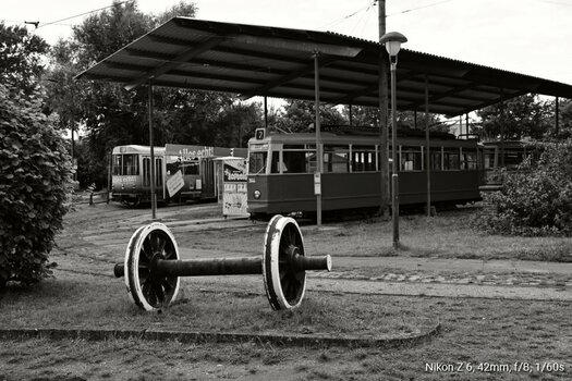 DSC_0474.JPG