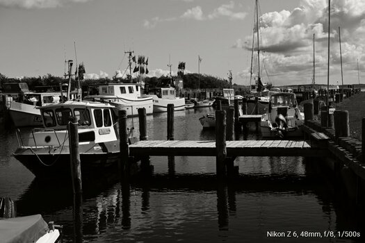 DSC_0440.JPG