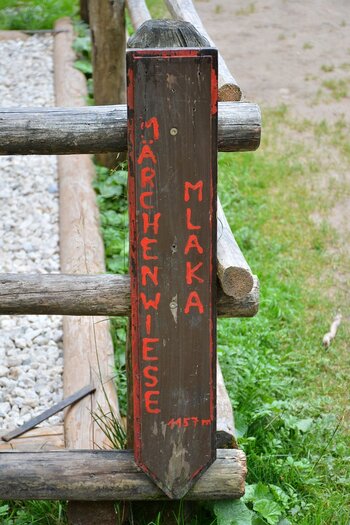 DSC_2312.jpg