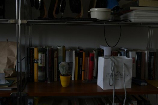 DSC_0049.JPG