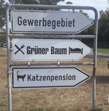 Katzenpension_1.jpg