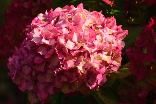 Sep28_0017.jpg