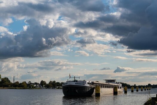 DSC_2984-1.jpg