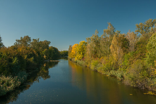 DSC_7976.jpg