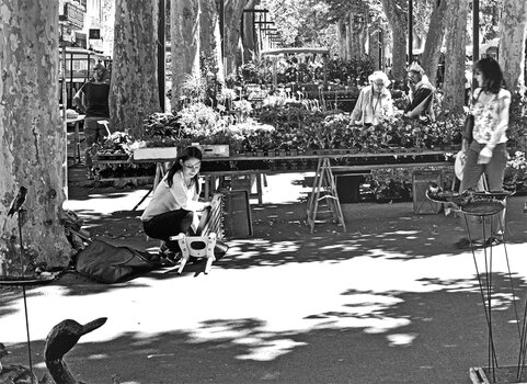 _DSC3918-BW.jpg