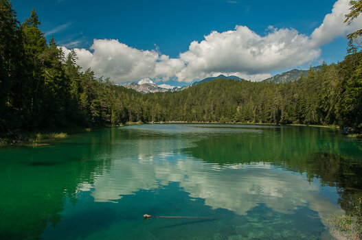 DSC_7522.jpg DSC_7522.jpg